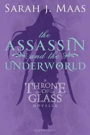 The Assassin and the Underworld by Sarah J. Maas