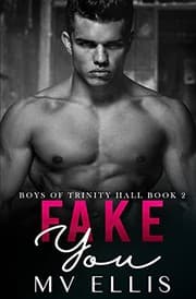 Fake You by MV Ellis